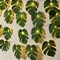 Monstera Leaf String Lights 2 Pack, 20LED Tropical Artificial Rattan Palm Green Leaves Wall Hanging Vine Greenery,Outdoor Indoor Hawaiian Luau Jungle Safari Beach Theme Party Summer Decoration
